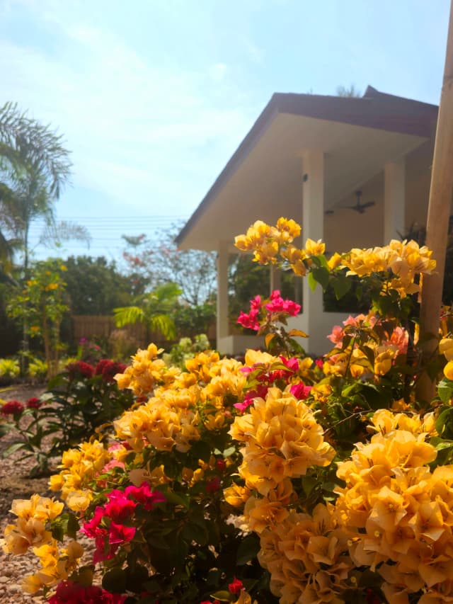 Garden setting at SHI Phangan Villas, Koh Phangan